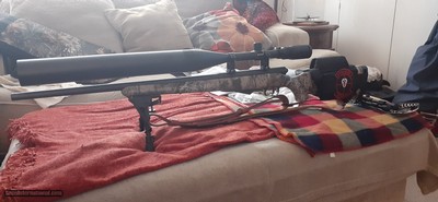 SAVAGE MODEL 25
.17 HORNET