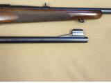 Winchester Pre-64 Model 70, 