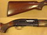 Winchester Model 50 Featherweight, 12 Gauge
- 3 of 8