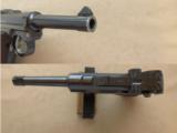 S/42 Mauser G-Date Luger, Cal. 9mm
SOLD
- 3 of 8