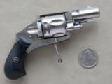 Antique Belgian "Velo Dog" .320 Caliber Revolver
SOLD - 2 of 19
