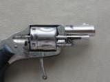Antique Belgian "Velo Dog" .320 Caliber Revolver
SOLD - 16 of 19