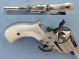 Colt 1877 "Lightning", Cal. .38 Cal.
3 1/2 Inch Barrel, Nickel, with Pearl Grips
SOLD
- 4 of 10