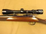 Ruger Model 77/50, Bolt Action .50 Cal. Percussion Rifle
- 6 of 13