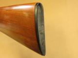 Winchester Model 12, 20 Gauge Slide-Action, 1957 Vintage, 26 Inch Barrel, Near New Condition
SOLD - 9 of 13