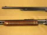 Winchester Model 61, Cal. S.L. or L.R., 1951 Vintage, Beautiful Example - 6 of 15
