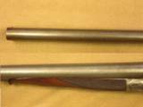  Colt 1878 10 Gauge Double Barrel Hammer Shotgun
- 6 of 18