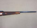 Winchester Model 70 Featherweight in .257 Roberts! - 4 of 25