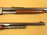  Remington Model 14, Slide Action, Cal. .35 Rem. - 5 of 16