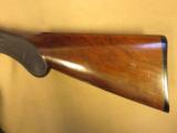 Colt 1878 12 Gauge Double Barrel Hammer Shotgun, Grade #8 Configuration - 8 of 16