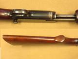 Winchester Model 61, Cal. .22 LR - 15 of 15