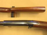 Winchester Model 61, Cal. .22 LR - 12 of 15