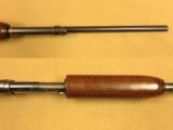  Winchester Model 42, .410 Gauge, 26 Inch Barrel, 1946 Vintage - 14 of 15