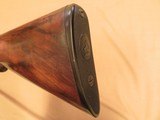 Colt 1878 10 Gauge Double Barrel Hammer Shotgun, Grade 8, 32 Damascus Barrel, 1881 Vintage SOLD - 11 of 18