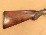 Colt 1878 10 Gauge Double Barrel Hammer Shotgun, Grade 8, 32 Damascus Barrel, 1881 Vintage SOLD - 3 of 18