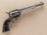 Colt Single Action Army, 1903 Vintage, Shipped to
Belknap Hardware , Louisville, KY - 2 of 11