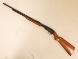 Winchester Model 61, Cal. .22 LR SOLD - 10 of 17