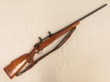 Winchester Model
70, Cal. .264 Winchester Magnum, 1971 Vintage
**SOLD** - 16 of 18