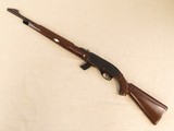 Remington Nylon Model 10C Mohawk, Cal. .22 LR - 10 of 18