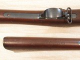 Springfield Model 1884 Trapdoor Rifle, Cal. 45-70, Dated 1889 - 18 of 19