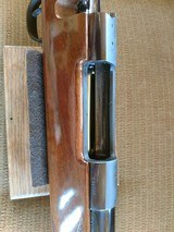 Weatherby mark V deluxe (west german).257 magnum - 15 of 18