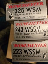 WINCHESTER short magnum variety