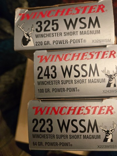 WINCHESTER short magnum variety