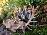 Red Stag Hunting- New Zealand Safaris - 8 of 13