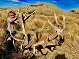 Red Stag Hunting- New Zealand Safaris - 3 of 13