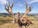 Red Stag Hunting- New Zealand Safaris - 9 of 13