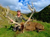 Red Stag Hunting- New Zealand Safaris