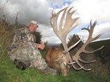 Red Stag Hunting- New Zealand Safaris - 7 of 13