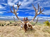Red Stag Hunting- New Zealand Safaris - 12 of 13