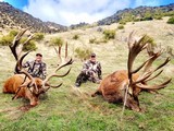 Red Stag Hunting- New Zealand Safaris - 5 of 13