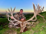 Red Stag Hunting- New Zealand Safaris