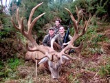 Red Stag Hunting- New Zealand Safaris - 10 of 13