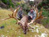  Red Stag & Bull Tahr Hunting Safaris New Zealand - 1 of 15