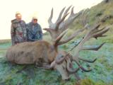  Red Stag & Bull Tahr Hunting Safaris New Zealand - 3 of 15