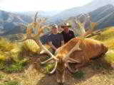  Red Stag & Bull Tahr Hunting Safaris New Zealand - 13 of 15