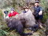  Red Stag & Bull Tahr Hunting Safaris New Zealand - 14 of 15