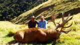  Red Stag & Bull Tahr Hunting Safaris New Zealand - 10 of 15