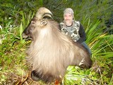  Bull Tahr Foot Hunt on Free Range private land- New Zealand Hunting Safaris - 3 of 14
