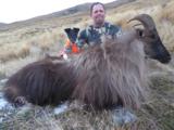  Bull Tahr Foot Hunt on Free Range private land- New Zealand Hunting Safaris - 8 of 14