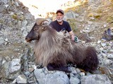  Bull Tahr Foot Hunt on Free Range private land- New Zealand Hunting Safaris - 4 of 14