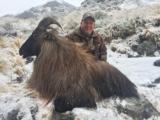  Bull Tahr Foot Hunt on Free Range private land- New Zealand Hunting Safaris - 6 of 14