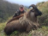  Bull Tahr Foot Hunt on Free Range private land- New Zealand Hunting Safaris - 7 of 14