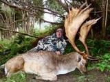 Red Stag & Fallow Buck combination hunt
- 15 of 15