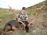 Red Stag & Fallow Buck combination hunt
- 13 of 15