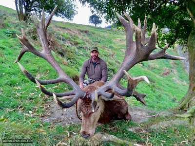 Red Stag & Fallow Buck combination hunt 