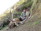 Red Stag & Fallow Buck combination hunt
- 9 of 15
